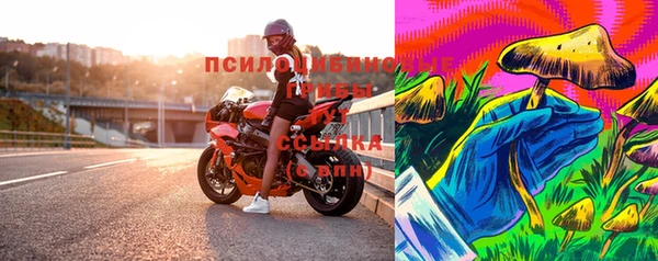 МДПВ Аркадак