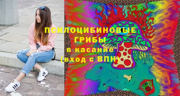 ГАЛЛЮЦИНОГЕННЫЕ ГРИБЫ Армянск