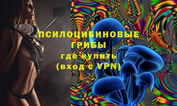 МДПВ Аркадак