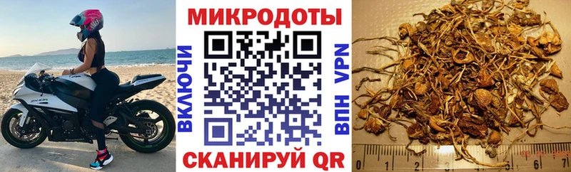 Псилоцибиновые грибы Cubensis Мончегорск