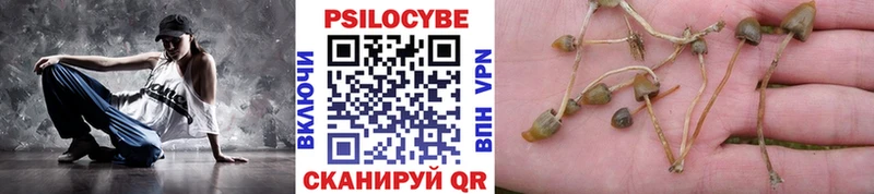 купить закладку  Мончегорск  omg зеркало  Галлюциногенные грибы мухоморы 